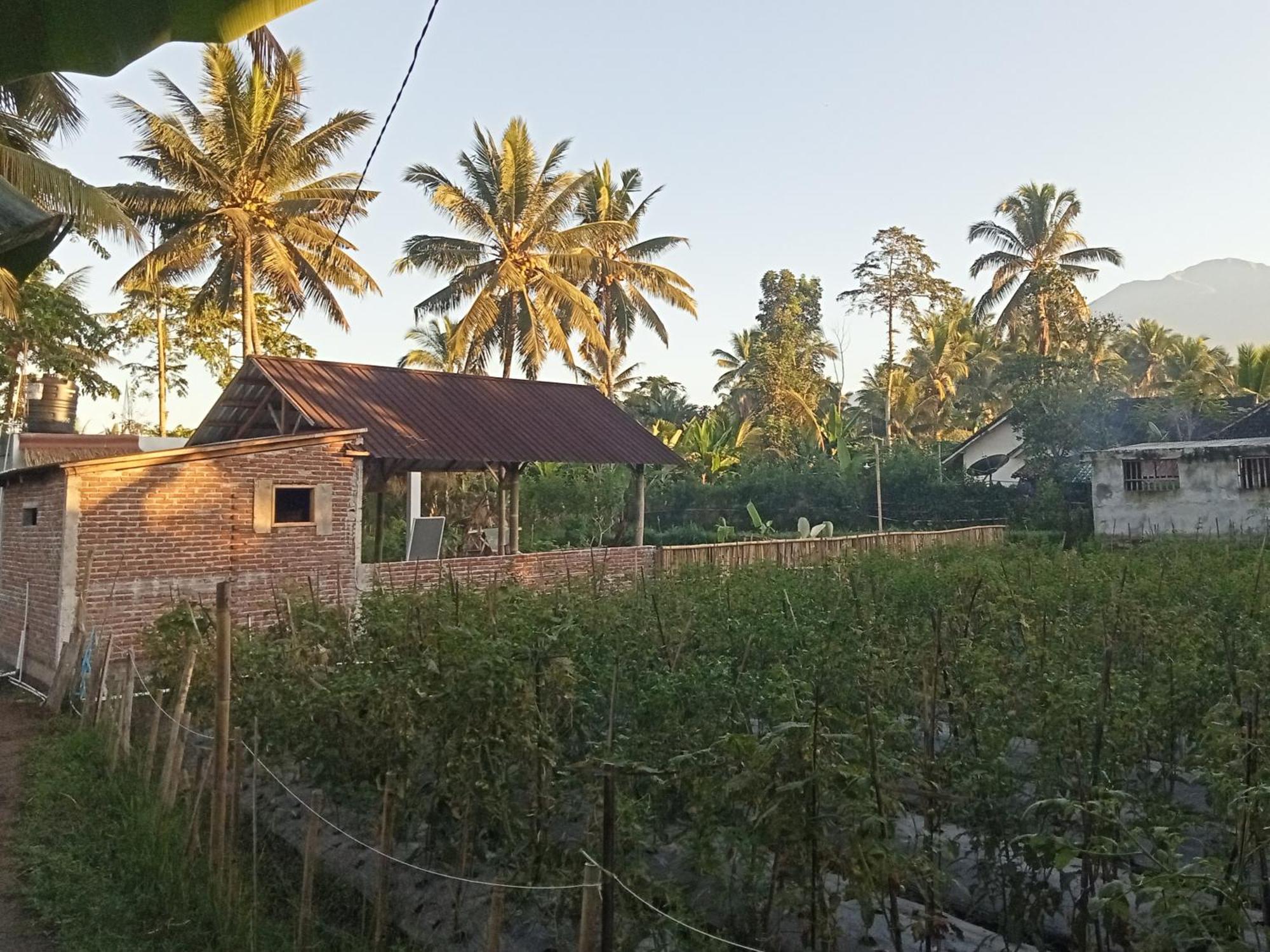 Stay Together Tetebatu Exterior foto
