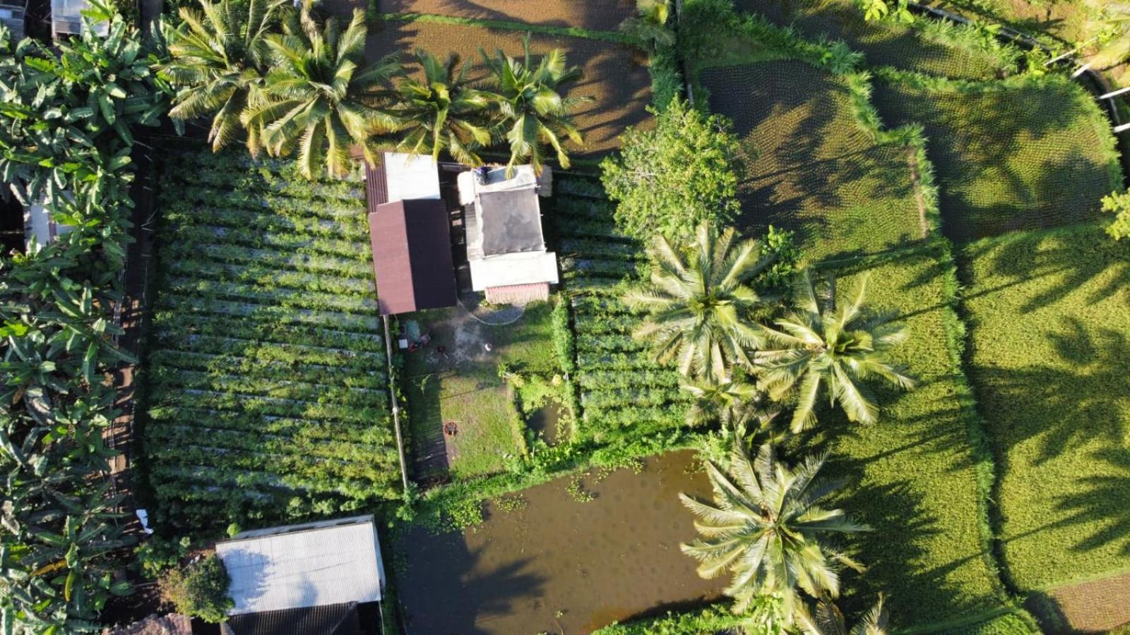 Stay Together Tetebatu Exterior foto